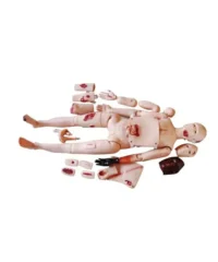 XC401D TRAUMA MANIKIN/SIMULATOR 180CM IN PAKISTAN
