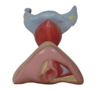 XC429 FEMALE INTERNAL/ENTERNAL GENITAL  ORGAN IN PAKISTAN