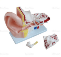 EAR MODEL MEDIUM CHINA XC303B IN PAKISTAN
