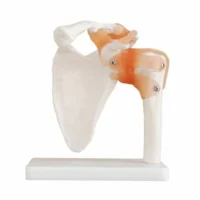 SHOULDER JOINT XC109 IN PAKISTAN