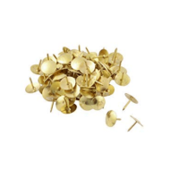 Drawing Pin (Thumb Pin) Brass Finish Multi Purpose